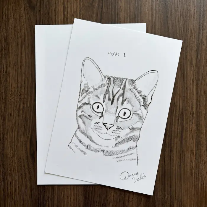 Moldes do gatinho prontos para imprimir